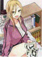 2010版红楼梦